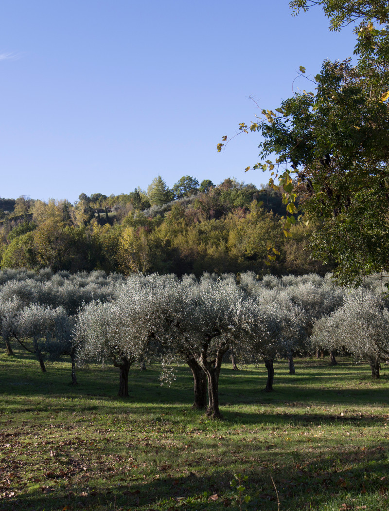 L'azienda agricola